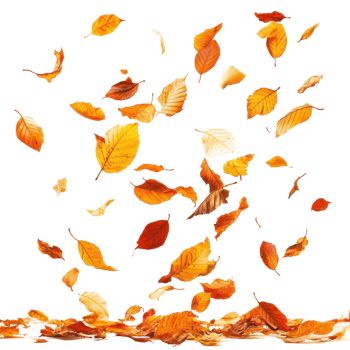 Autumnal foliage, a vibrant abstract design. png