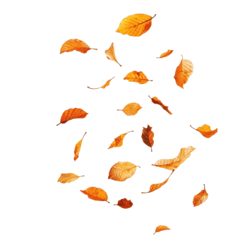 Abstract autumn leaves swirl on a colorful background. png