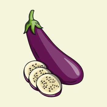 Eggplant and Sliced Eggplant Illustration vector