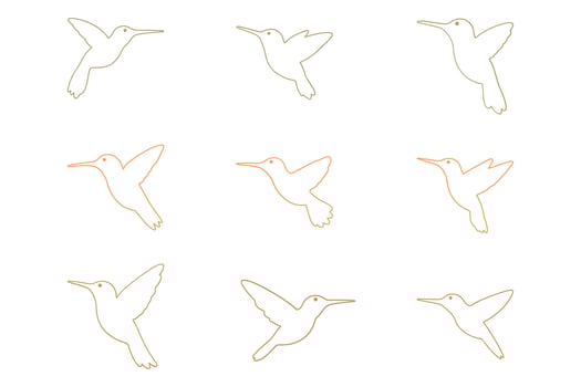 Hummingbird Outline Animal Icon Set vector