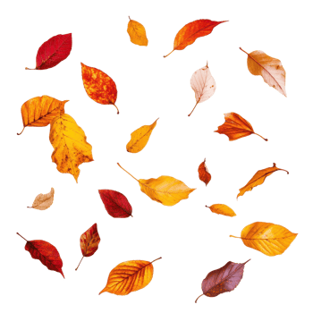 Abstract autumn leaves design with vibrant colors and geometric shapes. png