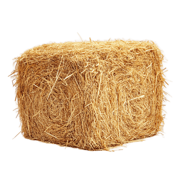 Box of Hay in Simple Arrangement png