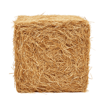 Pile of Straw Laid Out on Surface png