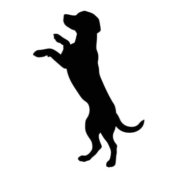 Dog Silhouette Standing On Hind Legs Paws Up Isolated On White Background vector