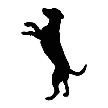 Dog Silhouette Standing Isolated On White Background Animal Illustration vector