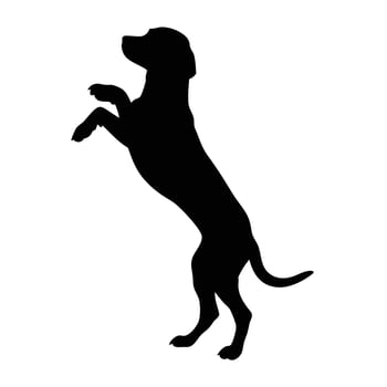 Elegant Dog Silhouette Performing Tricks On Hind Legs Isolated Over White Background vector