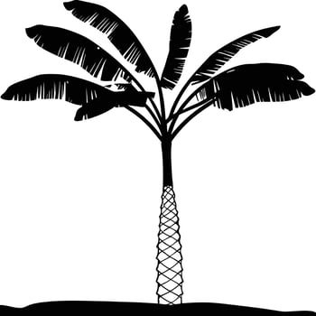 Tropical Banana Tree Silhouette Illustration On White Background Minimalist Design vector