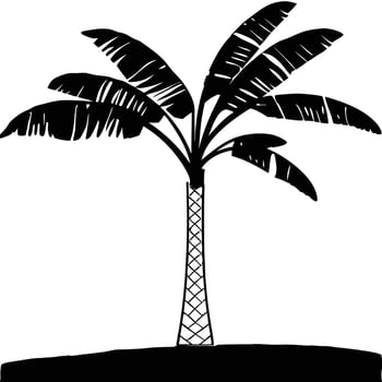 Black Silhouette Tropical Palm Tree Illustration Isolated On White vector