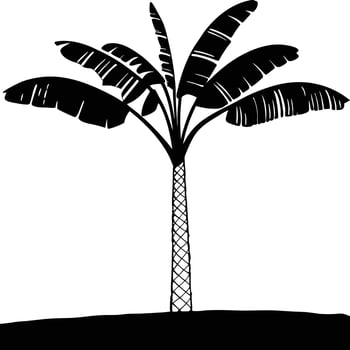 Black And White Banana Tree Silhouette Tropical Exotic Plant Illustration vector