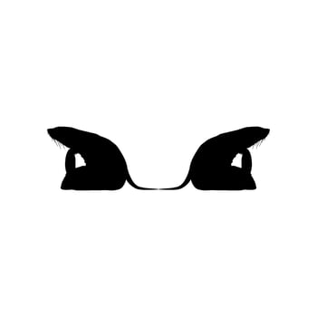Silhouette or the Pair Pinnipeds or Seals, can use for Logo, Pictogram, Aquatic Animal, Poster, etc. Flat Style and Editable vector