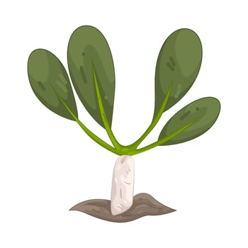 Illustration of sprout vector