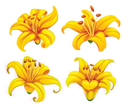 Bright yellow lilies with smooth petal curves and vivid shading for decor use. Cartoon illustration vector