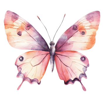 Watercolor pink butterfly on transparent background. png
