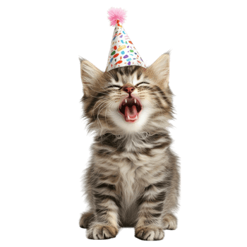 Kitten with party hat on transparent background. png