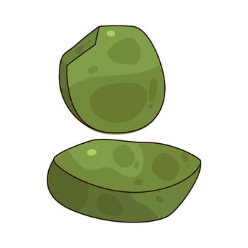 Green Lentil illustration vector