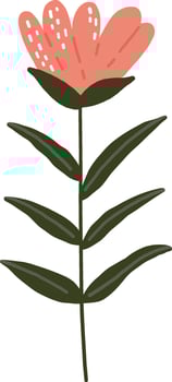 Flower element, Plant illustration, Digital flower design vector