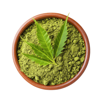 Neem powder in bowl top on transparent background png