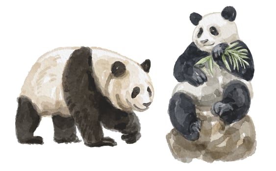 Watercolor set of panda for logo, invitations and more vector