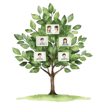 A visually engaging family tree illustration featuring multiple branches and framed portraits, symbolizing family heritage and connections against a white background. png