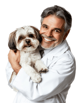 Smiling Man In White Coat Cuddling Small Brown And White Dog Against Transparent Background png