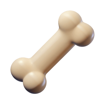 magnificent dreamy surreal Speech bubble with a tail. Minimal design, flat color, clean lines with Scalable Design. authentic png