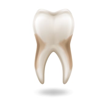 Detailed digital illustration of a human molar tooth in beige shades, representing dental health and hygiene, isolated on white background with copy space. vector