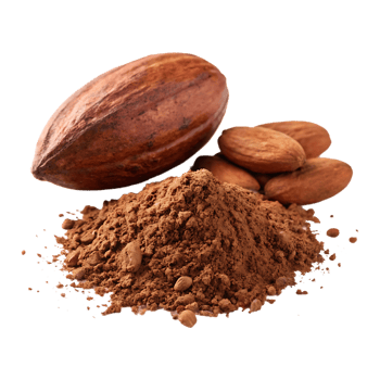 Cocoa pod, beans, and powder. Chocolate ingredient. png
