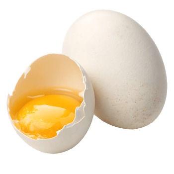Close up of a cracked egg with visible yolk. png