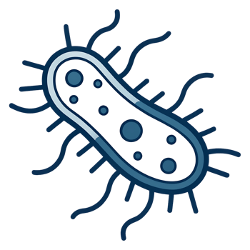 Cartoon illustration of a bacterium. png