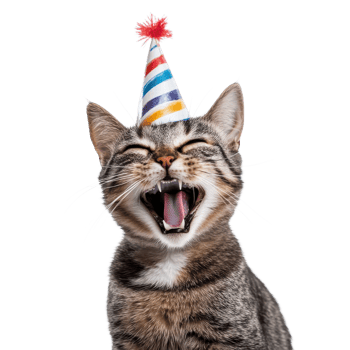 Cat wearing party hat on transparent background png