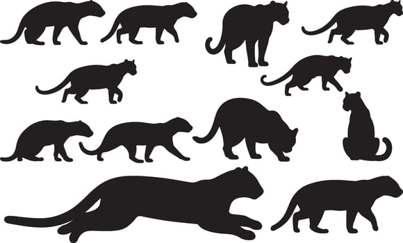 A set of silhouettes of various cats vector