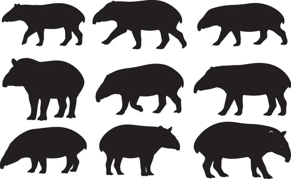 Silhouettes of various animals, including a pig, on a white background vector