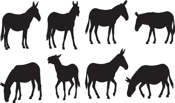 Donkey silhouette set isolated on white background vector