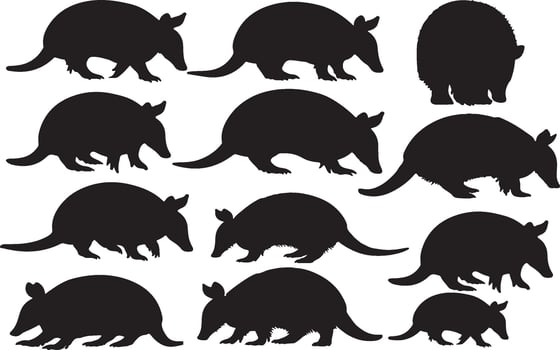 Armadillo silhouette illustration vector