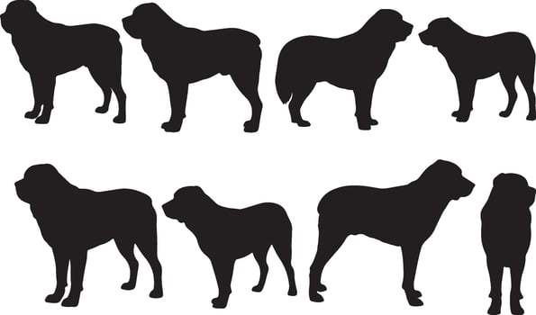Alabai animal silhouette vector
