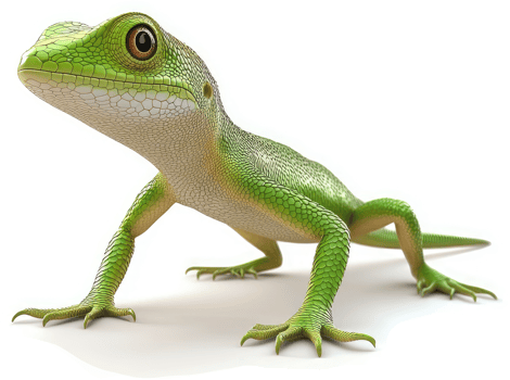 Vibrant green lizard positioned against a plain background. png