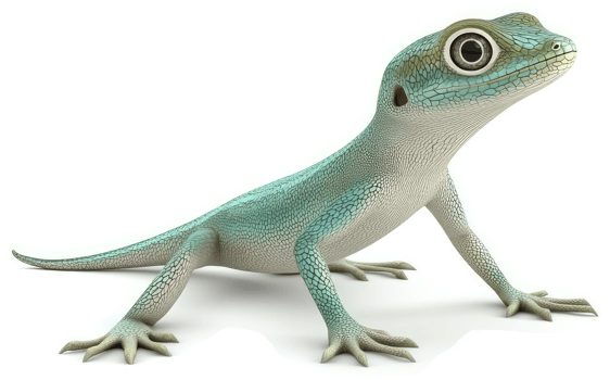 Light teal lizard with large eyes gazes upwards. png