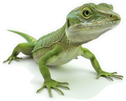 Vivid green lizard in a studio setting. png