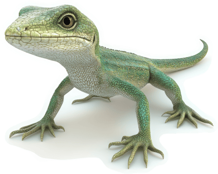 Green lizard, facing forward, displays detailed scales. png