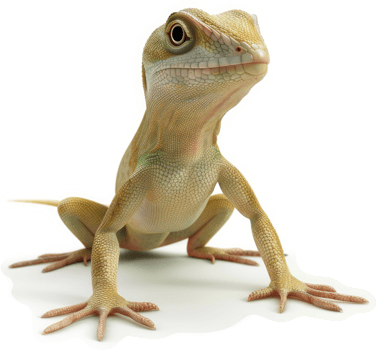 Close-up of a small, light-colored lizard. png