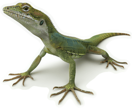Green lizard with vibrant markings displays agility. png