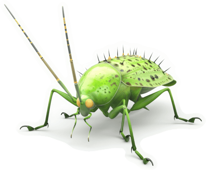 A vibrant, spiky green insect with long legs. png