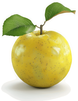 Single, bright yellow apple with leaves. png