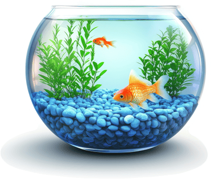 Round aquarium with two goldfish and aquatic plants. png