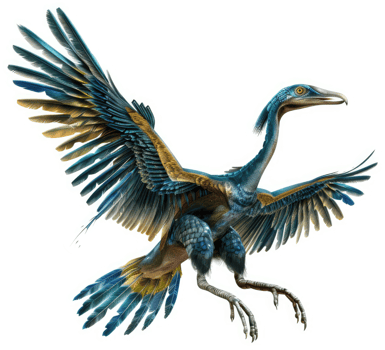 A stylized illustration of a prehistoric flying reptile. png