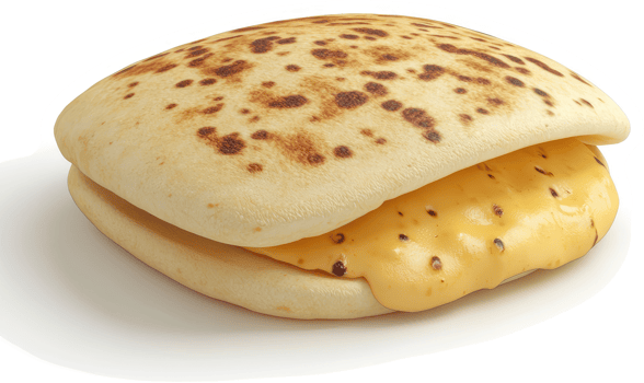 Melted cheese sandwich with toasted bread. png