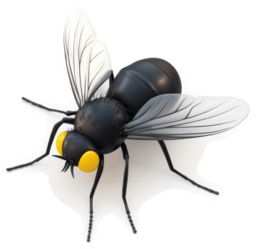 Detailed illustration of a black fly with translucent wings. png