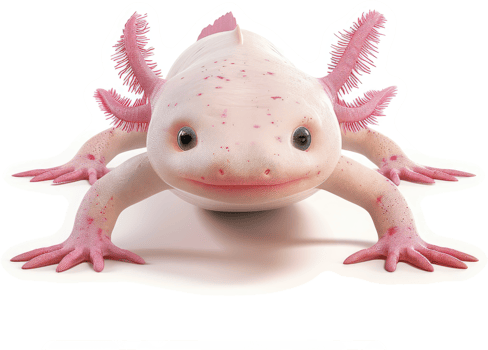 Pink Axolotl, a serene and gentle amphibian. png