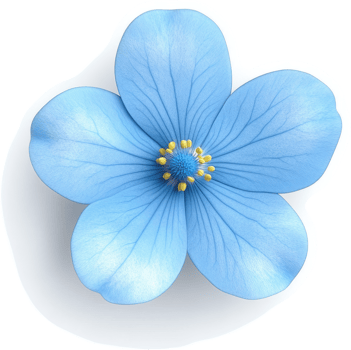 Light blue flower blossoms in a detailed display. png