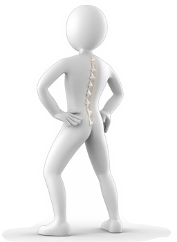 Vertebral column highlighted on a stylized human figure. png